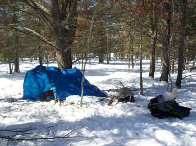 polar bear camp out 2009 013.jpg